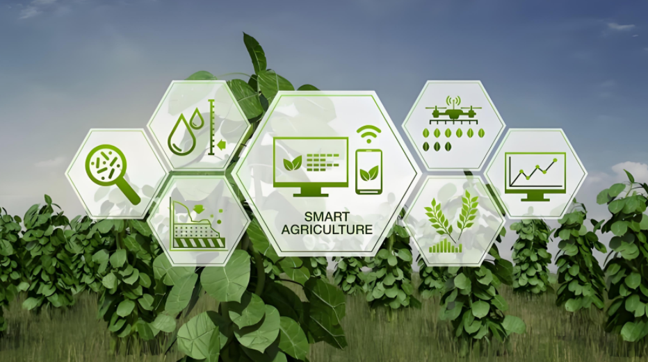 智慧农业管控气象环境监控云平台系统 为农作物生长提供全面支撑 提升农作物产量和品质