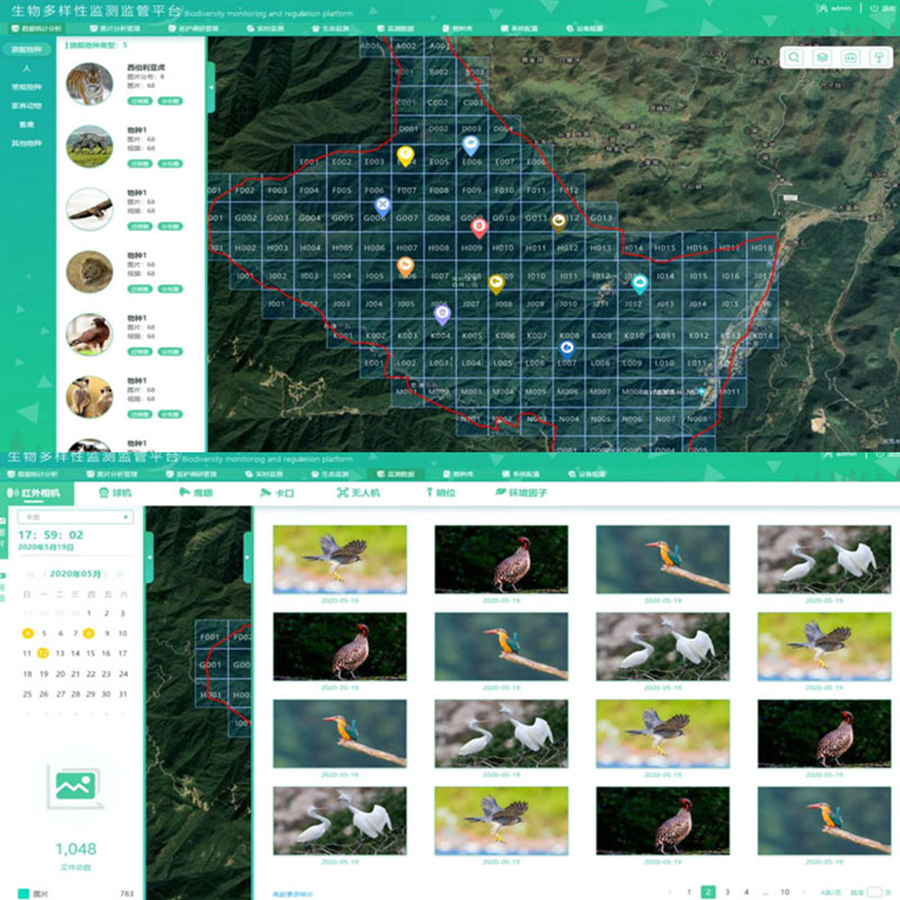自然保护区生物多样性信息管控平台 AI物种识别 数据统计分析