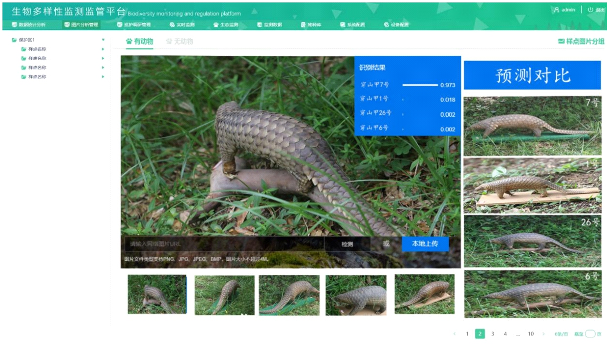 生物多样性监管平台：智能AI物种识别、汇总分析各类野生动物信息