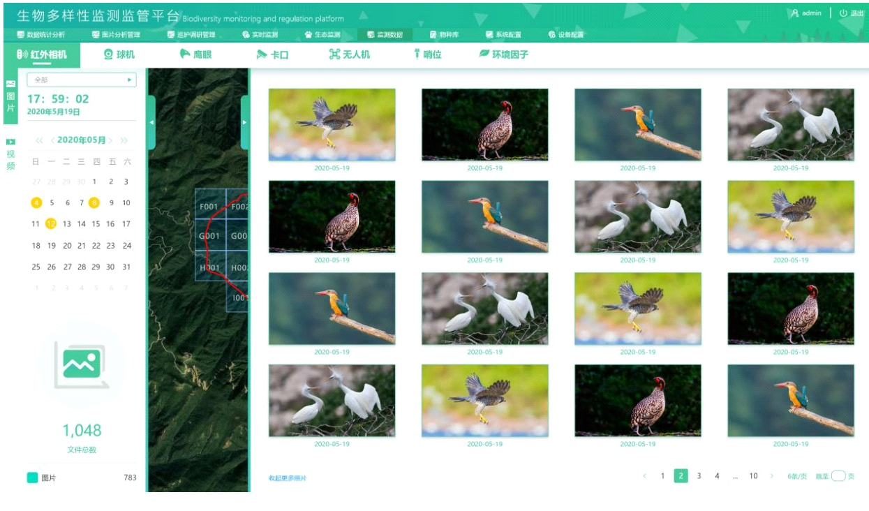 生物多样性监管平台：智能AI物种识别、汇总分析各类野生动物信息